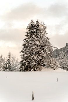 Heure d'or paysage d'hiver