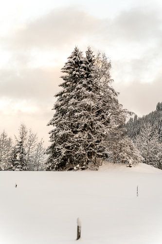 Goldene Stunde Winterlandschaft von Xulé Bogers