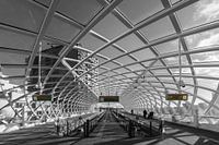 Metro Den Haag Centraal