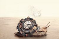 Woestijnslak met Steampunk Tintje - Fascinerende Creativiteit en Aanpassingsvermogen