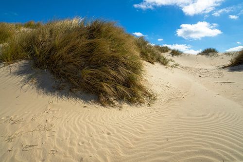 Zandduin op het Noordzeestrand