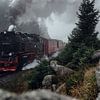 Le train du Brocken sort du brouillard sur Oliver Henze