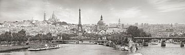 Panorama Parijs met een knipoog