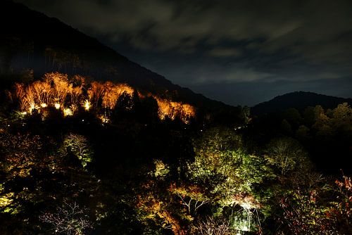 lichtinstallatie in kyoto