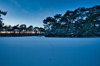 Winter in Brabant