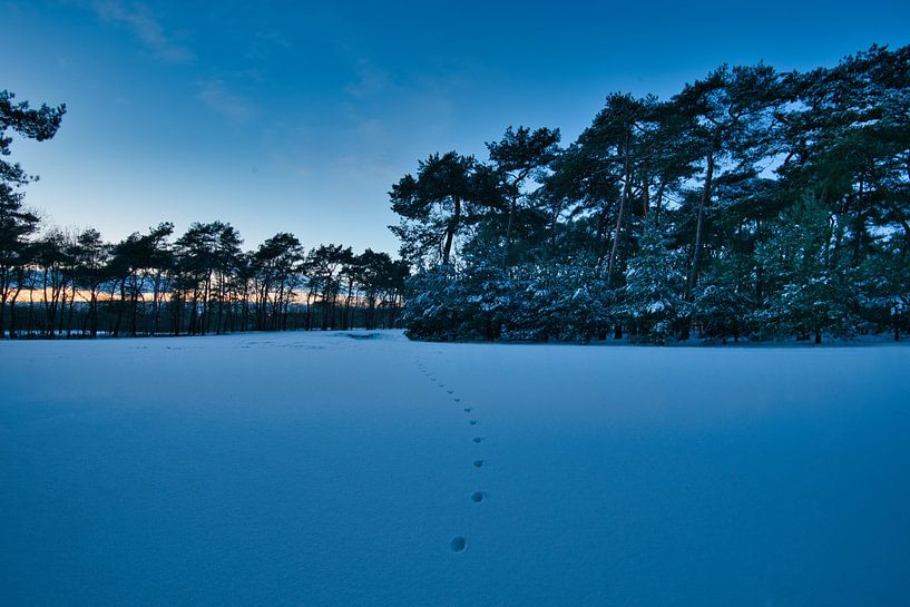 Winter in Brabant van Bart Verdijk