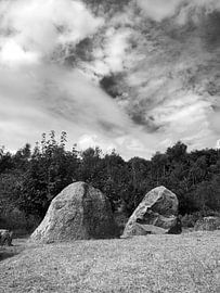 Dolmens at Lindeskov Hestehave, Ørbæk, Denmark