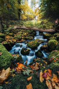 Goldener Herbst