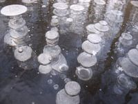 Bubbels in het ijs