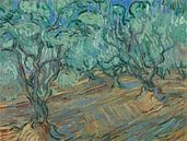 Vincent van Gogh, Olijfgaard van 1000 Schilderijen thumbnail
