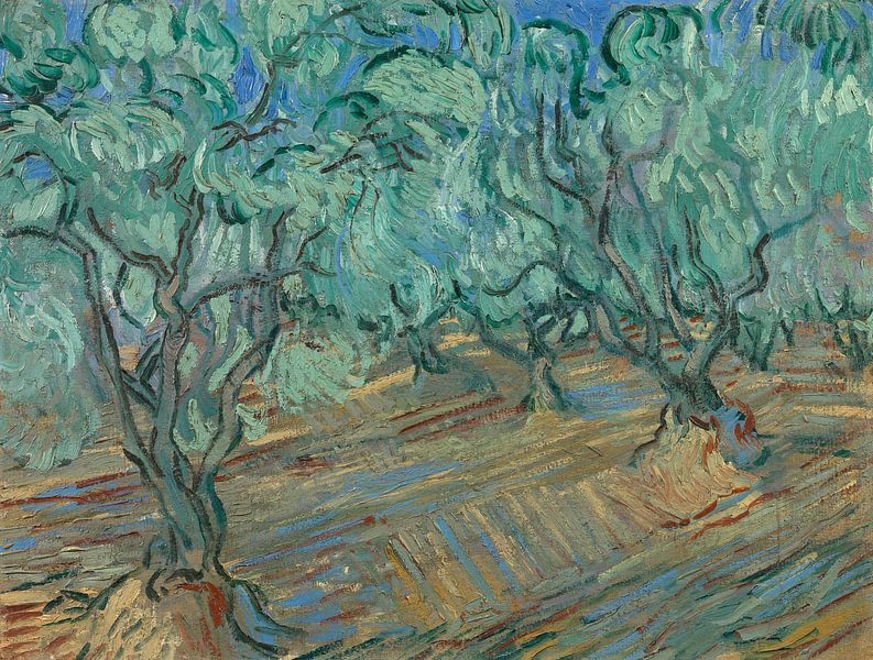 Vincent van Gogh, Olijfgaard op canvas, behang, poster en meer