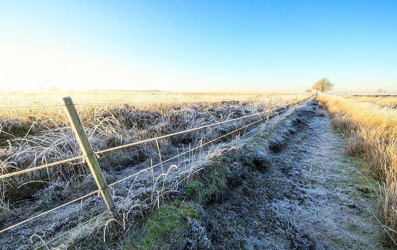Dwingelderveld (Netherlands) by Marcel Kerdijk