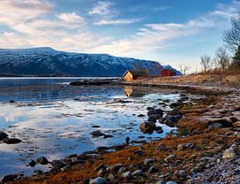 Vissershut langs een fjord in winter, Ålesund, Noorwegen van qtx