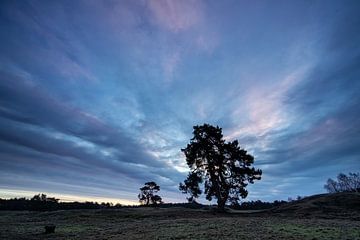 Sonnenaufgang auf dem Anwesen Heidestein Bornia. von Peter Haastrecht, van