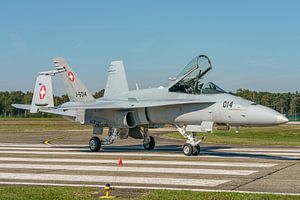Swiss Hornet Solo Display Team 2023.