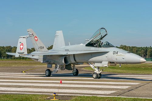 Swiss Hornet Solo Display Team 2023.