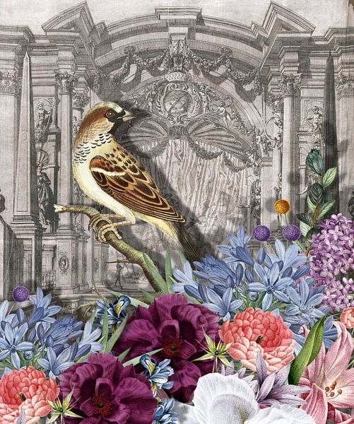 From the Cabinet of Curiosities par Marja van den Hurk
