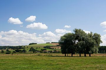 Fraai Frans landschap tussen Flabas en Montmédy van Bert Meijerink