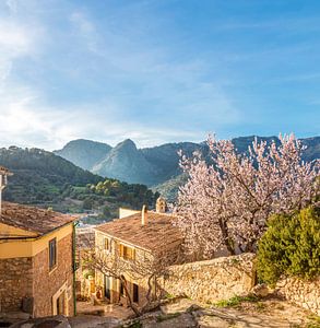 Blick über Bunyola zu den Bergen der Serra de Tramuntana, Mallorca
