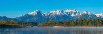 Morgenstimmung am Hopfensee, dahinter die Tannheimer Berge