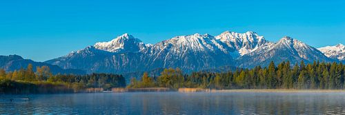 Morgenstimmung am Hopfensee, dahinter die Tannheimer Berge von Walter G. Allgöwer