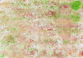 Watercolor painting with pattern in pink, green and ocher by Heike Rau