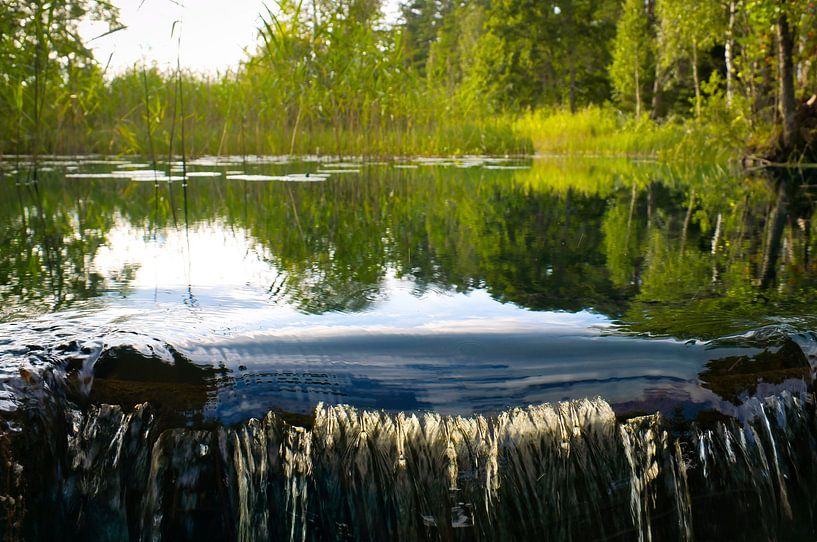 Kleine waterval in het bos met mos op stenen van Martin Köbsch