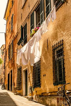 Colors of Italy