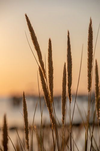 Oostzee: Zonsondergang bij de pier Wustrow / Darß bij zonsondergang