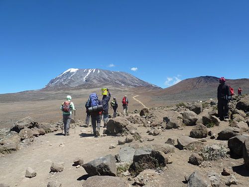 Beklimmen van Kilimanjaro