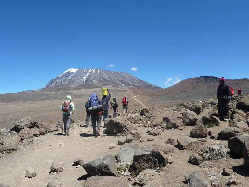 Beklimmen van Kilimanjaro van Dempsey Cappelle