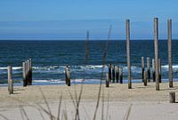 Palen van het palendorp in Petten aan Zee.