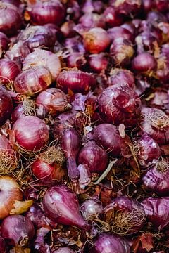 Red onions are sold at the market in Morocco | travel photography and food photography by Studio Rood