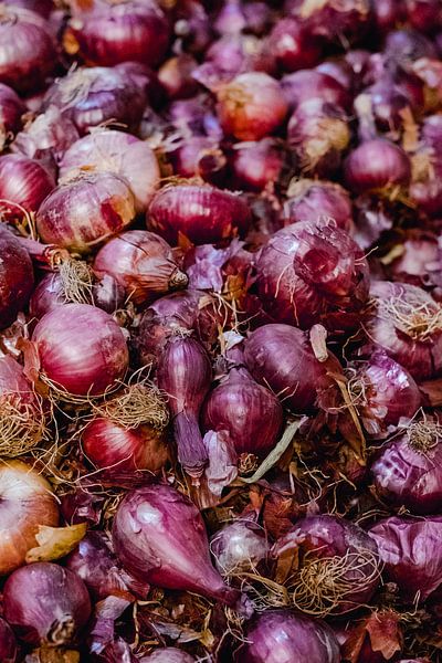Rode uien worden verkocht op de markt in Marokko | reisfotografie en foodfotografie van Studio Rood