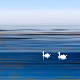 Swan River by Michael Krawietz