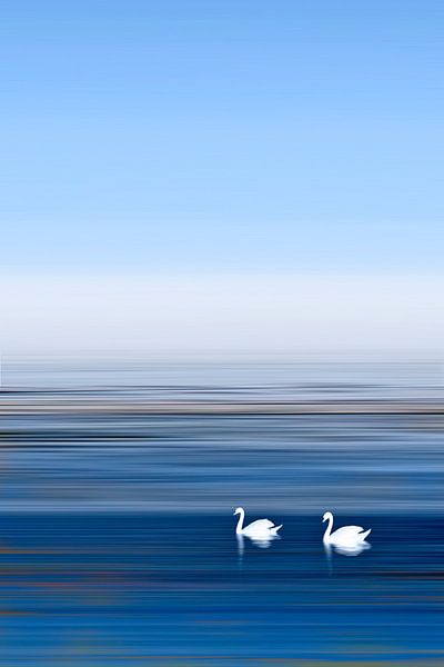 Swan River van Michael Krawietz