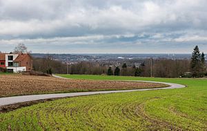 Kurvenreiche Straße durch die flämische Landschaft von Werner Lerooy