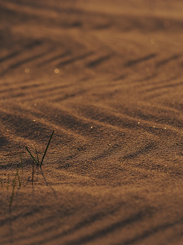 Spel van schaduw en warm zonlicht op het strand van Texel.