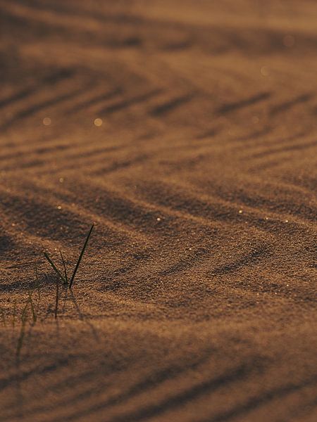 Writings in the sand on the beach of Texel by Astrid Brouwers