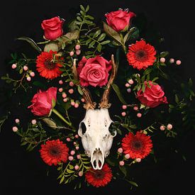 Dia de los Muertos - Crâne de cerf - Bois de Reebok sur Nikki Segers