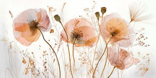 Delicate poppies in the light no. 2