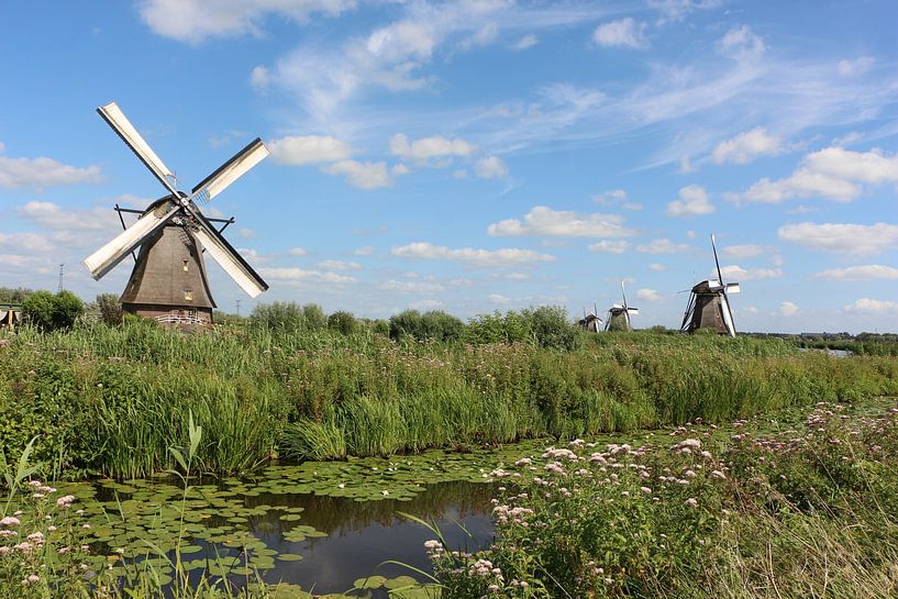 Dutch picture by Christel Smits