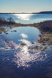 Reflektion von Bernd Friedel