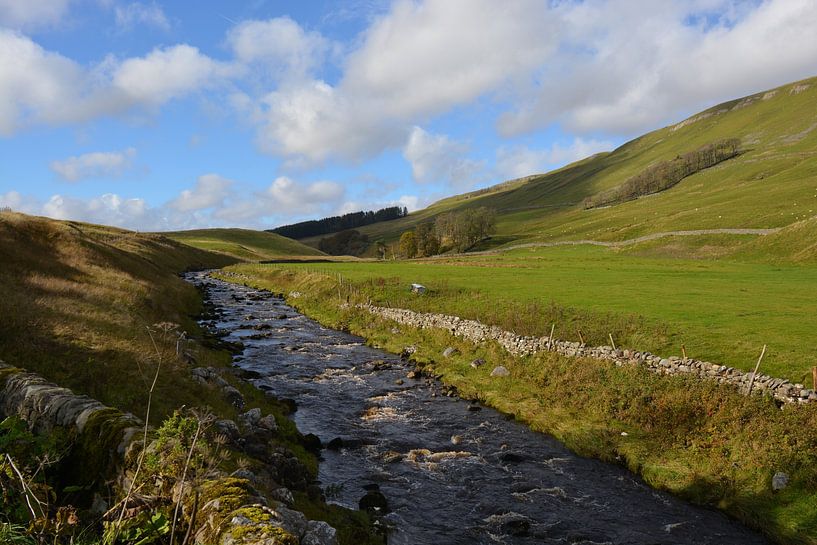 Yorkshire Dales landscape - brook by Hans Janssen