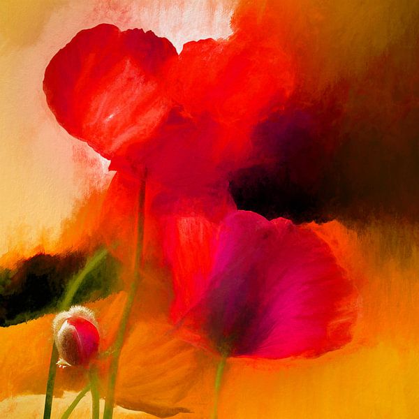 Classical Poppies by Andreas Wemmje