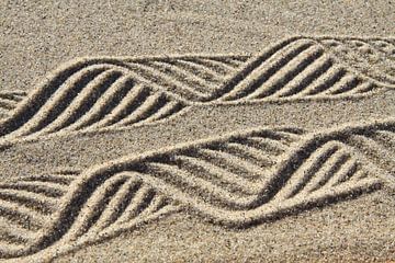 Linien im Sand von Karina Baumgart