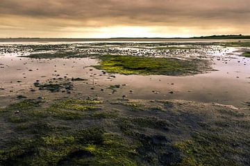 Zonsondergang over de waddenzee bij eb van Bas Witkop