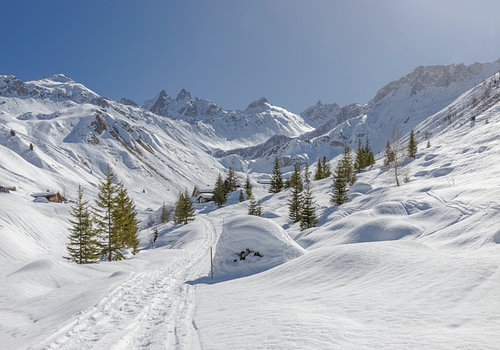 Het besneeuwde Gafierbachtal, Sankt Antönien, Graubünden - Prättigau, Zwitserland