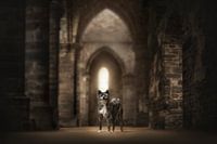 The guardian