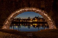 Blick auf Maastricht von Ronenvief Miniaturansicht